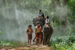 IUP Bronze Medal - Wong Twee Liang (Singapore)  Elephant Ride