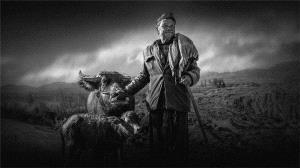 Bugis Photo Cup Circuit Merit Award - Ruiyuan Chen (China)  Cattle Man