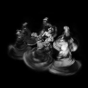 PhotoVivo Gold Medal - Janos Eifert (Hungary)  Dance
