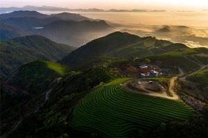 Bugis Photo Cup Circuit Gold Medal - Chengle Zheng (China)  Dreamlike Tea Garden