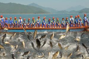 Bugis Photo Cup Circuit Merit Award - Feiqing Wang (China)  Fishing Festival