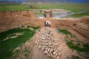 Bugis Photo Cup Circuit Bronze Medal - Jixian Shi (China)  Pastoral Beyond The Great Wall