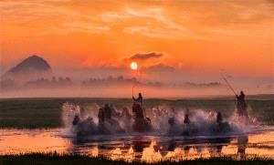 Bugis Photo Cup Circuit Bronze Medal - Chunling Li (China)  Morning Herd