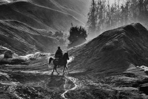PhotoVivo Gold Medal - Ee Sin Tan (Singapore)  Horse Ride