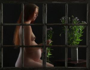 BPC Merit Award - Jan-Thomas Stake (Sweden)  Pregnant Behind The Window