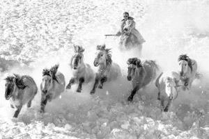 PhotoVivo Honor Mention e-certificate - Mingyou Zhang (China)  Gallop In The Snow